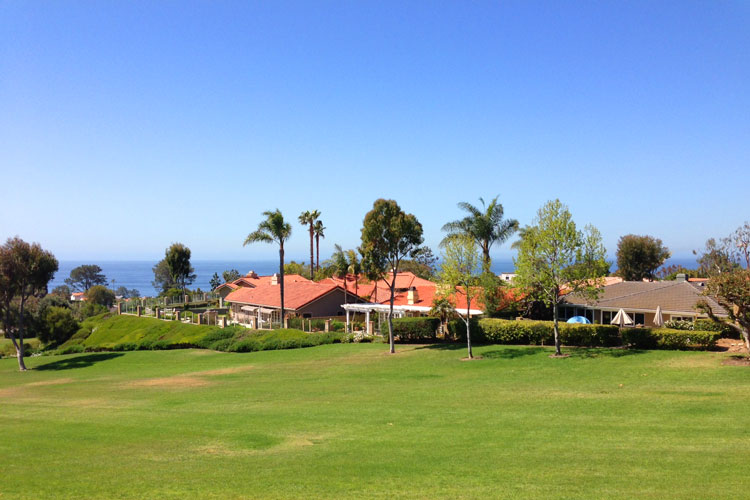 Emerald Ridge Ocean View Homes For Sale in Dana Point, CA